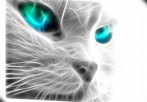 Download this animals live wallpaper free and get inspired today by nature at its wildest… and cutest! Blue Eyes Neon Wallpapers HD / Desktop and Mobile Backgrounds