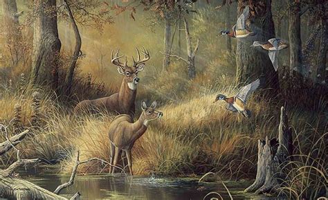 Image Result For Parks And Recreation Conference Room Deer Wall Mural