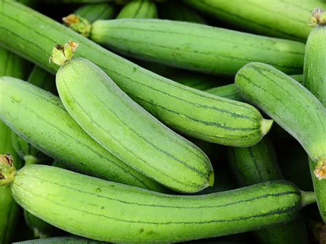 10 Most Popular Gourd Vegetables Of India