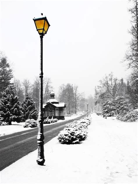 Street Lamp In Winter Free Stock Photo Public Domain Pictures