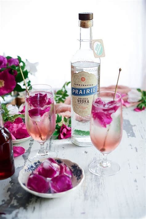 We've rounded up a list of the best vodka cocktail recipes where everything from. Sparkling Summer Rose Vodka Soda | Recipe | Vodka, Organic ...