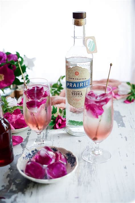 If he had, we're certain he would order his. Sparkling Summer Rose Vodka Soda | Recipe | Vodka, Organic ...