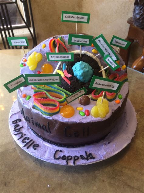 3d Plant Cell Project Cake