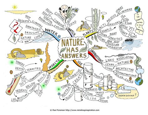 Nature Has Answers Mind Map Will Help You To Consider Ideas Among