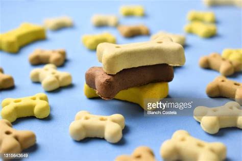 Dog Bone Pile Photos And Premium High Res Pictures Getty Images