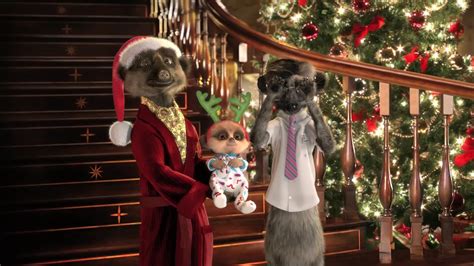 Compare The Meerkat Christmas Video Message From Baby Oleg Aleksandr