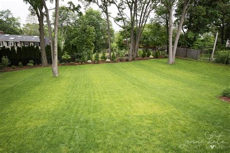 Our Current Home In 2020 Large Backyard Landscaping Backyard