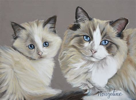 De nombreux amoureux des chats ont commencé à griffonner l'image pour lui donner un côté humoristique. Les Pastels de Chats | Artiste Animalier