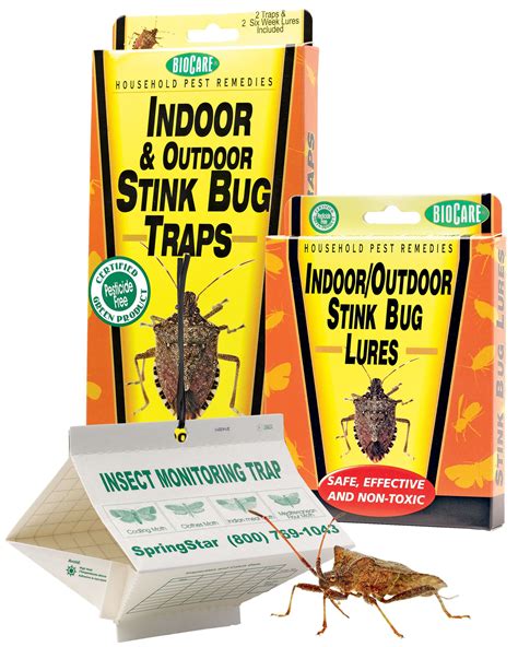 Stink Bug Traps And Lures Set Of 2 Stink Bugs Stink Bug Trap Bug Trap