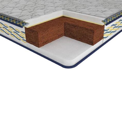 The 6 inch memory foam mattress provides contouring comfort with a memory foam layer that supports the natural shape of your body promoting proper circulation and spinal alignment. Buy Centuary Mattresses Back Sport 6 inch Queen Memory ...