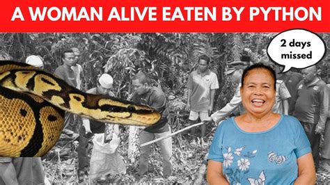 22 Foot Long Python Swallowed 54 Years Old Woman In Indonesia YouTube