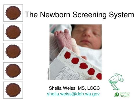 Ppt The Newborn Screening System Powerpoint Presentation Free