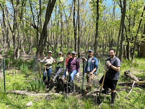 LaBagh Woods/Lower North Branch Stewardship Update: Spring 2023