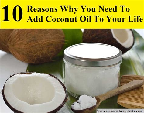 10 Reasons Why You Need To Add Coconut Oil To Your Life Home And Life Tips