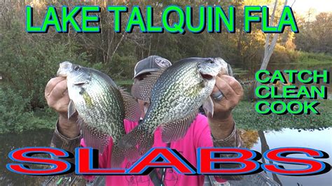 Crappie Fishing The Riverlake Lake Talquin Fla Slabzzzz Youtube