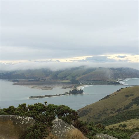 Dunedin And The Otago Peninsula New Zealand