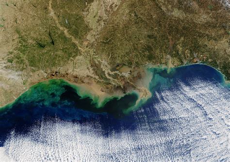 The Gulf Of Mexicos Dead Zone Is The Biggest Ever Seen The Salt Npr
