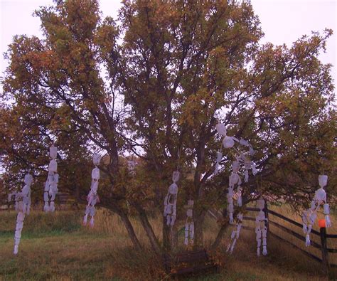 For a longer table, try using 3 smaller rectangular boxes and spacing them out to create a. Skeleton Hangin' Tree | Tree, Halloween yard decorations ...