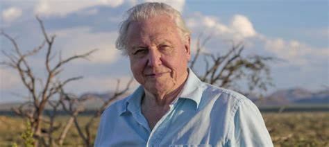 Life On Earth Has Been So Much Better With David Attenborough Around