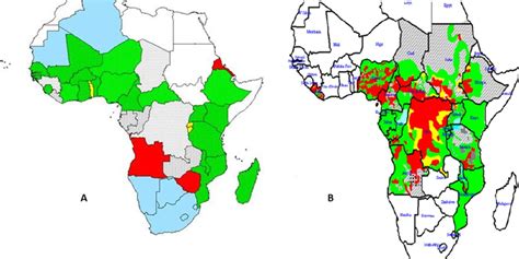 Overlap Between Lf And Onchocerciasis In Africa Legend A Lymphatic
