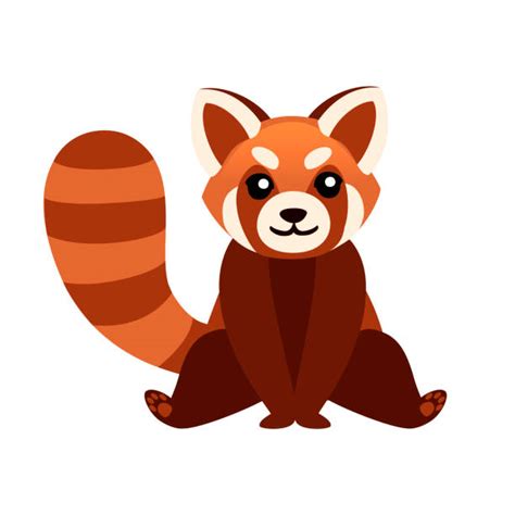 Red Panda Illustrations Royalty Free Vector Graphics And Clip Art Istock