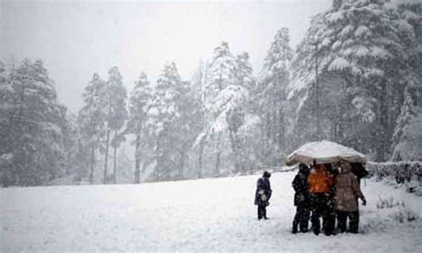 18,616 followers · public figure. Shimla, Manali receive season's first snowfall | India ...