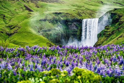 How To Respect Nature In Iceland Reykjavik Rent A Car