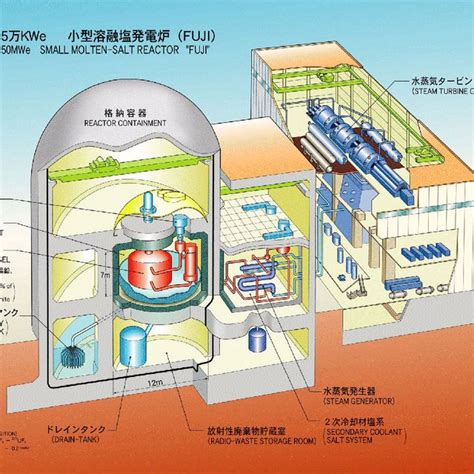 Molten Salt Reactor Primary System Fuji Courtesy Of K Furukawa Download Scientific Diagram