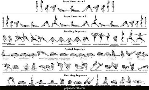 Beginners yoga poses pdf - YogaPoses8.com