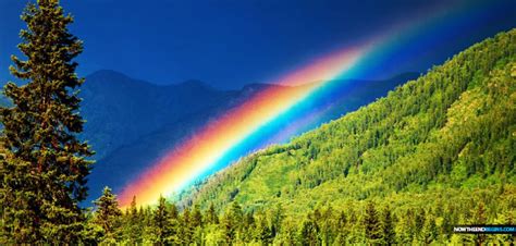 It is raining here today so i thought i would post some happy, colorful images of any and everything under the r a i n b o w. The Major Difference Between God's Amazing 7-Color Real ...