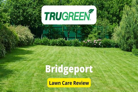 Trugreen Lawn Care In Bridgeport Review Lawnstarter
