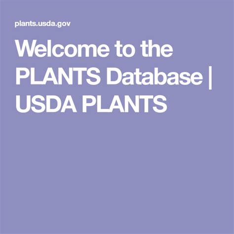 Welcome To The Plants Database Usda Plants Plant Database Usda Plants