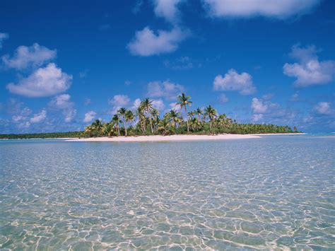 Winzip has had 2 updates within the past 6 months. Miami Beach Wallpapers and Screensavers - WallpaperSafari