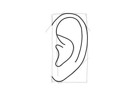 How To Draw An Ear Design School