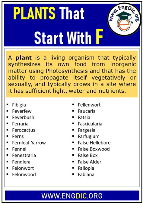 500 Plants That Start With F Complete List Engdic