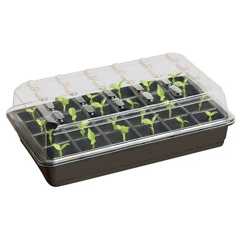 Buy 24 Cell Seed Starter Set Delivery By Crocus