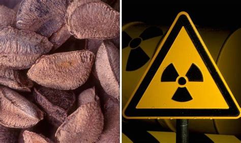 Brazil Nuts Are Radioactive How Dangerous Is The Radiation In Brazil