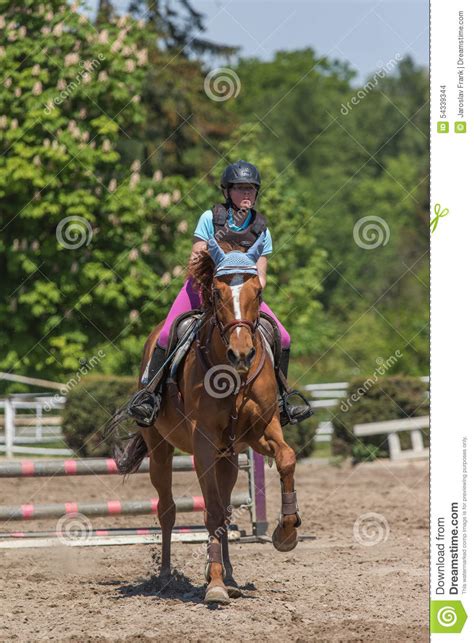 Young Horsewoman On The Brown Horse Editorial Stock Image Image Of