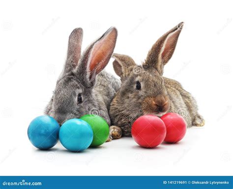 Rabbits And Easter Eggs Stock Image Image Of Fluffy
