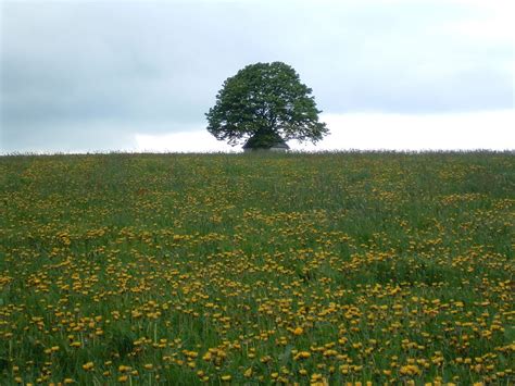 0 96 59 / 232. Wandelen: Auf dem Goldsteig von Neuhaus nach Kaimling ...