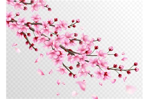 Realistic Sakura Beautiful Sakura Branches With Pink Flowers And Fall