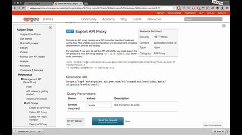 Downloading an API Proxy - YouTube