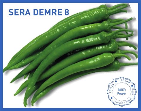 Limited time sale easy return. SERA DEMRE 8