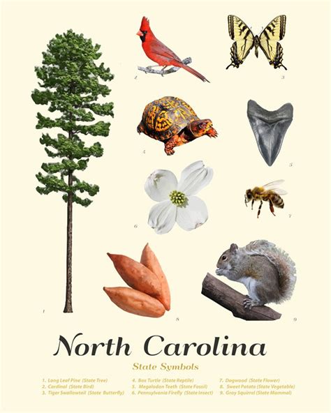 North Carolina State Symbols Typology North Carolina Art Etsy