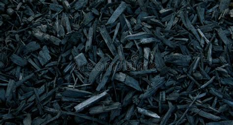 Mulch Black Decorative Bark Stock Photo Image Of Coloured Garden