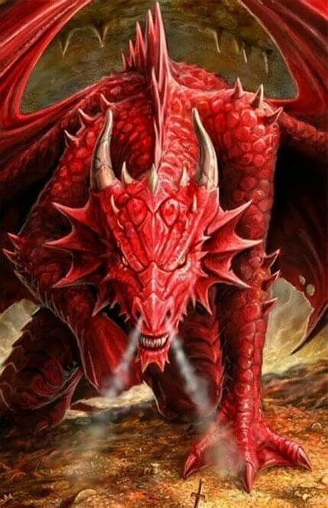 Pin By Cathryn Trueblood On Goths Fantasy Dragons Lair Dragon