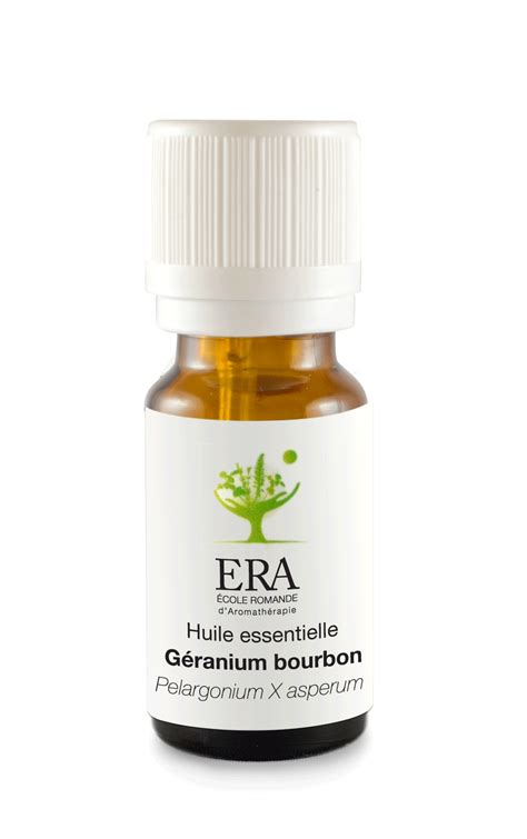 Géranium Bourbon Pelargonium asperum ou graveolens Shop Era