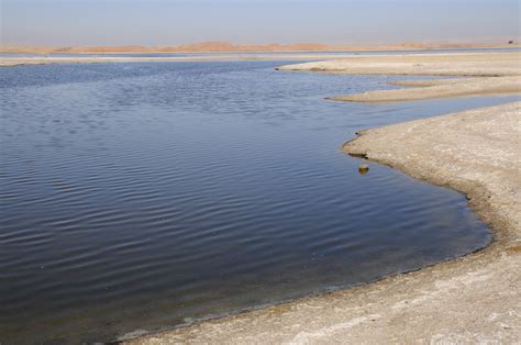 Western Desert Freshwater Lake Dakhla Oasis Pictures Egypt In