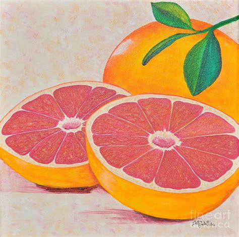 Juicy Pink Grapefruit Painting By Sally Tiska Rice Fine Art America