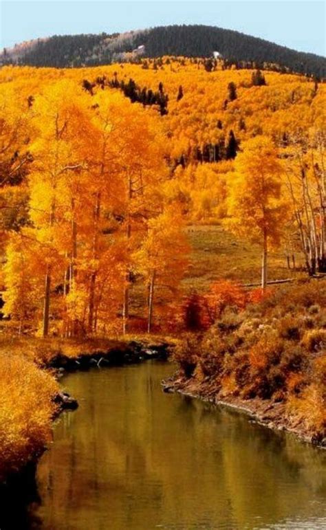 Upper state New York | Autumn scenery, Scenery, Autumn scenes